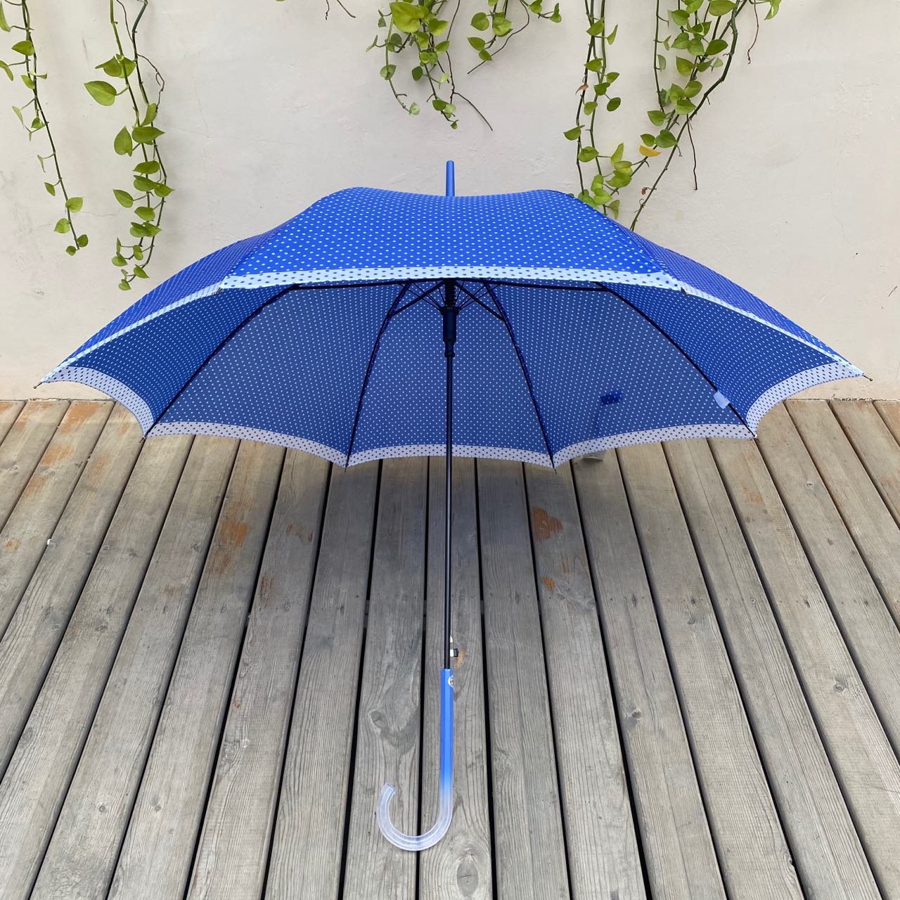 長柄雨傘 日本小眾牌子輕量優雅長柄大圓點刺繡鎖邊時尚女士自動晴雨傘『XY13999』