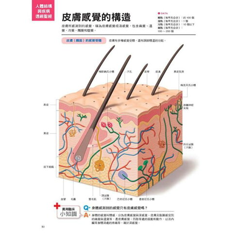 人體結構與疾病透視聖經:看不到的身體構造與疾病,3D立體完整呈現,比X光片真實(附日本授權3D立體動畫) 7