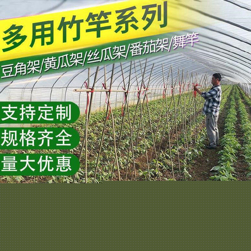 【滿500出貨】菜園竹竿種菜黃瓜爬藤支架彩旗桿小竹子棍豆角架菜園搭架柵欄裝飾【甄選優品】 3