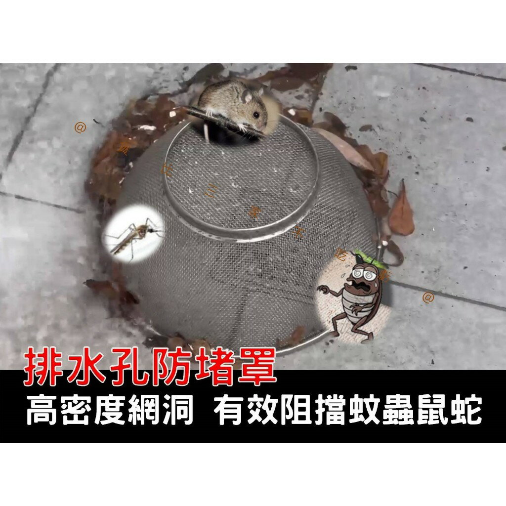 排水孔防堵罩 颱風 超速排水罩 排水濾網 戶外天臺防堵 排水孔蓋 防蟲 落水頭擋網 排水罩 隔離落葉 不銹鋼水濾網 4