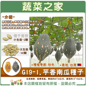 【蔬菜之家】G19-1.芋香南瓜種子(共兩種包裝可選)