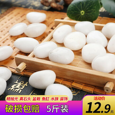 鋪面石鵝卵石雨花石天然白石子魚缸花盆鵝軟石裝飾盆栽園藝石頭子 協貿國際日用品生活10館 樂天市場rakuten 鋪面石鵝卵石雨花石天然白石子魚缸花盆鵝軟石裝飾盆栽園藝石頭子 協貿國際日用品生活10館 樂天市場rakuten