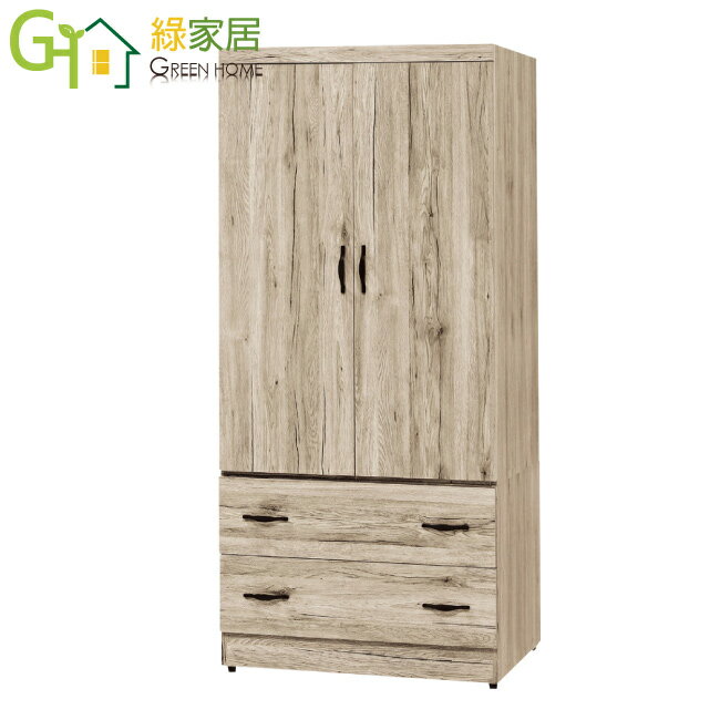 【綠家居】羅蘭 現代2.7尺二門二抽衣櫃/收納櫃(二色可選)