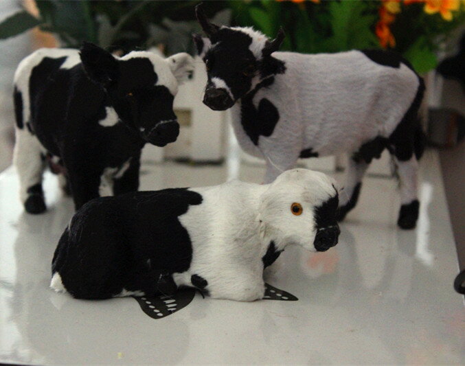 動物模型 仿真奶牛仿皮小牛 牛手工定做 攝影道具教學器材演示