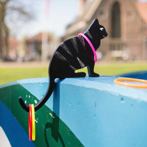 荷蘭BS 矮牆上的貓|套圈圈