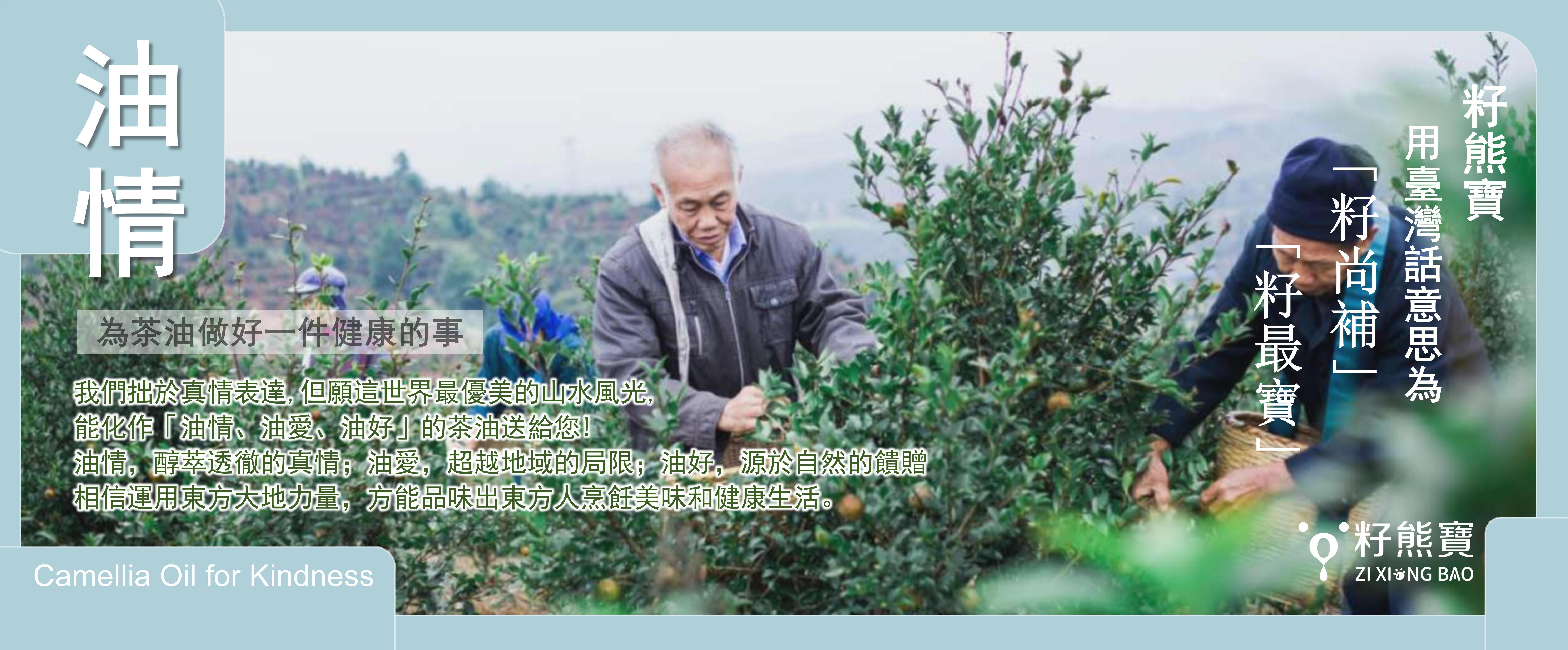 臺灣籽熊寶茶油 - 限時優惠好康折扣
