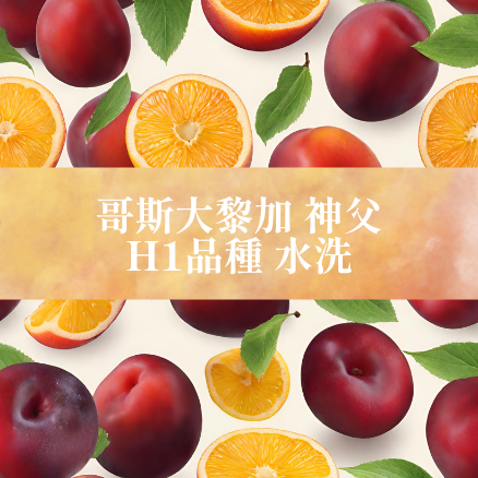 【咖啡匙 咖啡豆】哥斯大黎加 神父 H1品種 水洗 120克/包（約1/4磅）
