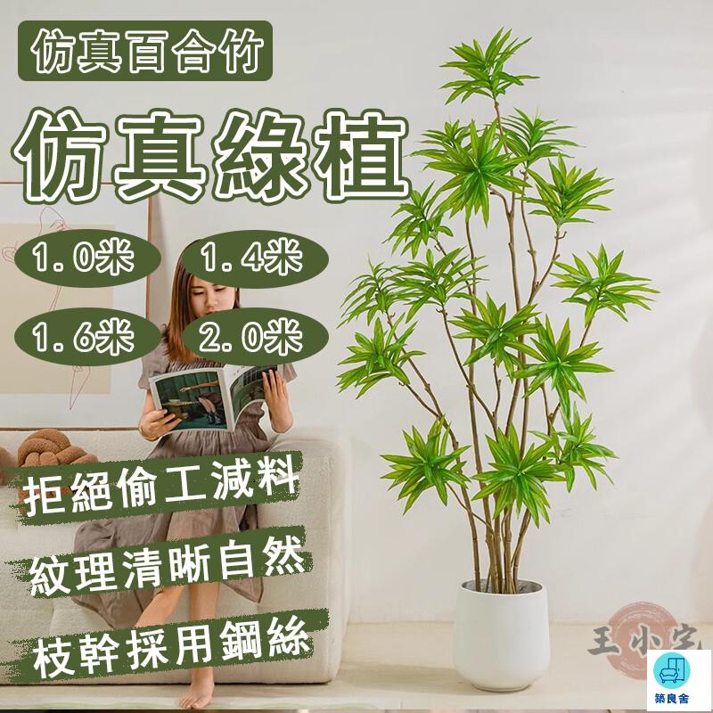 臺灣公司 工廠直銷 可開發票 【宅配免運】百合竹 客廳裝飾綠植 落地盆栽 仿真植物盆栽 裝飾盆栽 擺飾假花 模擬綠植 仿真植物 假綠植店長推薦 新品特價 5z86
