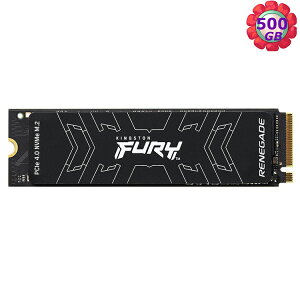 Kingston 金士頓 FURY 500GB 500G PCIE 4.0 SFYRS M.2 SSD SFYRS/500G 內接固態硬碟