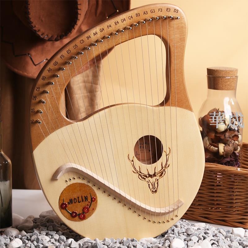 小豎琴 24弦萊雅琴 箱式箜篌小眾樂器 初學者易學lyre裏拉琴 小型便攜式樂器 萊雅琴