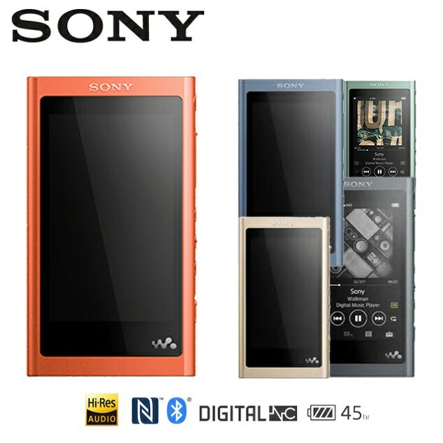 108/8/11前贈紀念卡套+32G高速卡+USB豆腐充 SONY 32GB Walkman 數位隨身聽 NW-A56HN 隨附 IER-NW500N 降噪耳機 公司貨 NW-A56