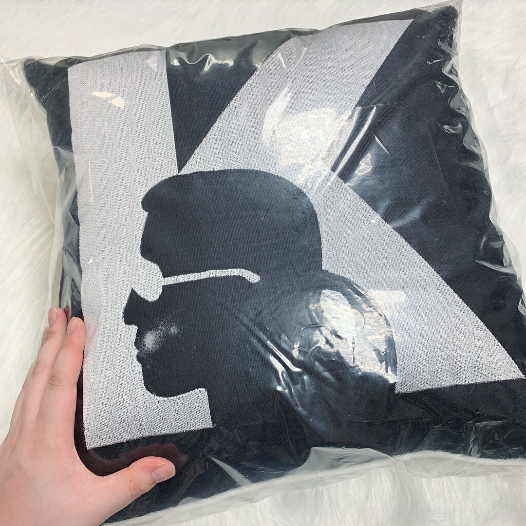 (Little bee小蜜蜂精品) 卡爾 抱枕/枕頭/收藏品 兩色可選