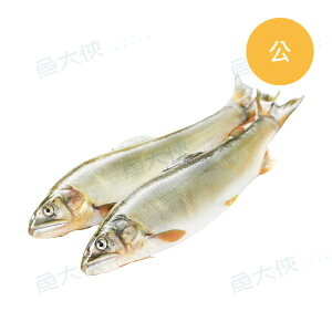 宜蘭公香魚(920g/10尾/盒)-1A4B【魚大俠】FH225