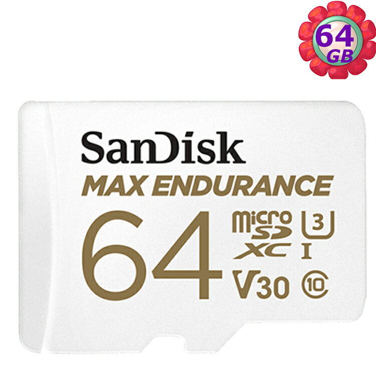 SanDisk 64GB 64G microSDXC【Max Endurance】microSD SD V30 U3 4K C10 SDSQQVR-064G 記憶卡