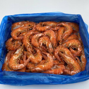 【闊佬闆-海鮮達人】 熟白蝦 極品白蝦 1.1kg 31/40 泰國熟白蝦