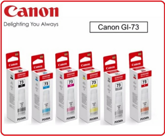 CANON GI-73 原廠 全新盒裝原廠墨水匣 73 GI73 PIXMA G570 G670