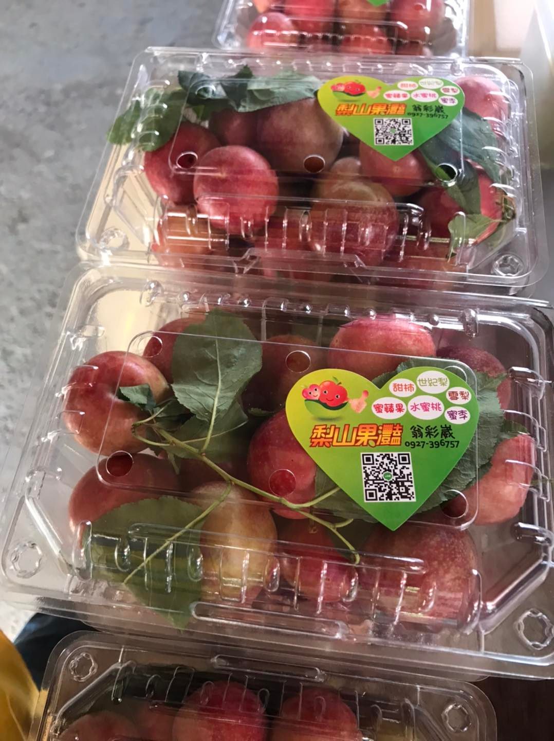 梨山西瓜李甜蜜盒 600gx3盒入 (2025/06/15以後開始出貨）農特產品禮盒伴手禮梨山限定