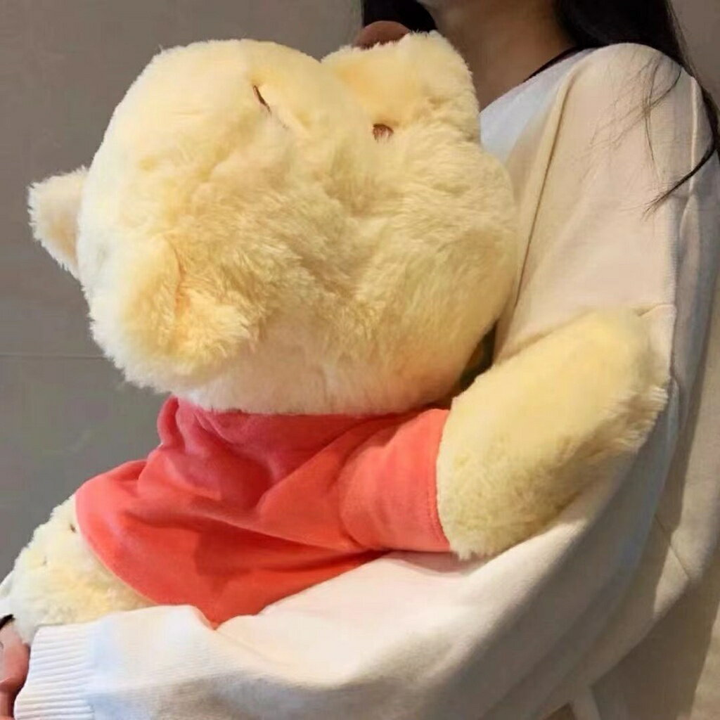 毛絨 玩偶 抱枕 維尼噗噗公仔小熊維尼毛絨抱枕娃娃女生睡覺生日禮物毛絨公仔