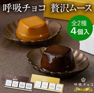 【少量現貨】日本 大阪伴手禮 MARUSHIGE 呼吸巧克力布丁禮盒 牛巧克力口味 焦糖堅果口味 有發票