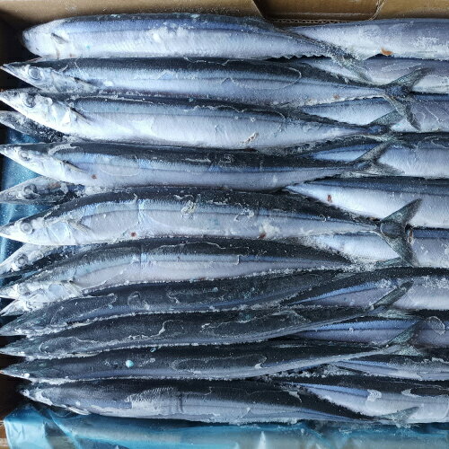 秋刀魚2號/箱 (約80-85尾)【愛買冷凍】 2