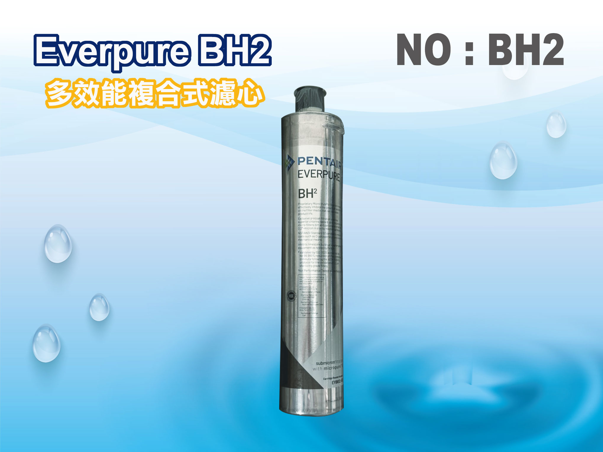 【龍門淨水】Everpure/BH2淨水器. 另售S100、S104、H104、4C、4DC、H100 (貨號BH2)