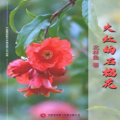 火红的石榴花【有聲書】