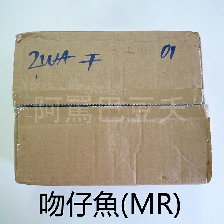 MR吻仔魚 約2500g