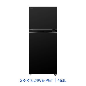 【點數10%回饋】TOSHIBA東芝 GR-RT624WE-PGT 463L 雙門 變頻電冰箱 抗菌微冷凍