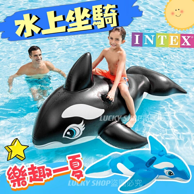 🍀台灣現貨🍀INTEX 充氣坐騎 水上坐騎 鯨魚坐騎 充氣浮排 浮床 戲水玩具 水上玩具 浮具 夏天戲水 游泳戲水 泳圈