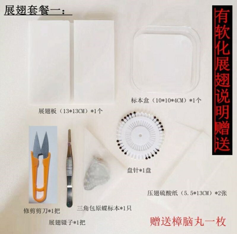 新品兒童DIY手工蝴蝶標本制作工具標本相框材料昆蟲針展翅板鑷子| 協貿