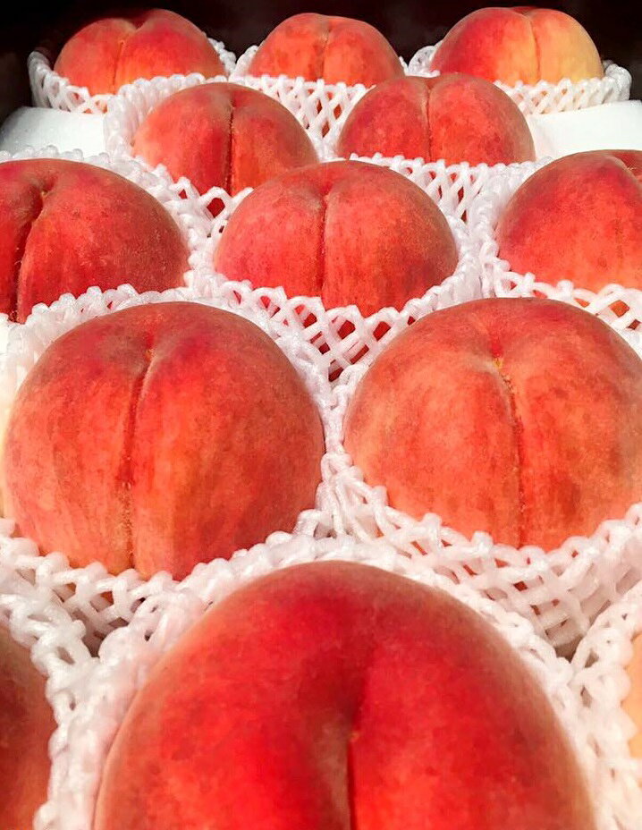 【緁迪水果JDFruit 高級水果店】現貨+預購-日本和歌山縣頂級水蜜桃禮盒(約4kg/箱) 3