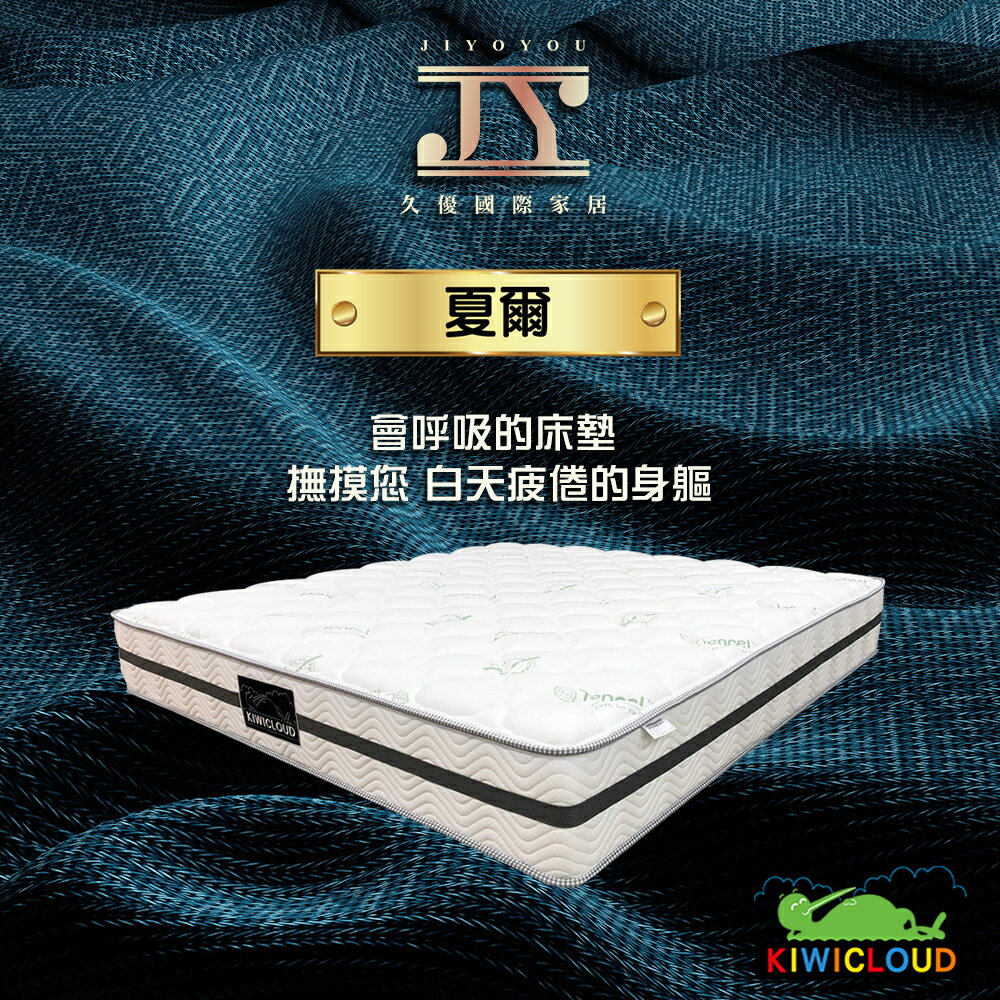 【久優國際家居】夏爾經典釋壓記憶名墊 0
