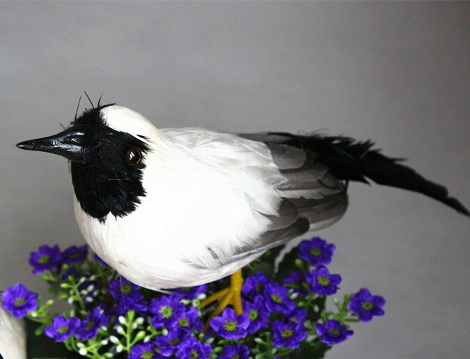 定做各種模擬動物模型 模擬鳥 羽毛小鳥 海鷗 攝影道具 教學模型