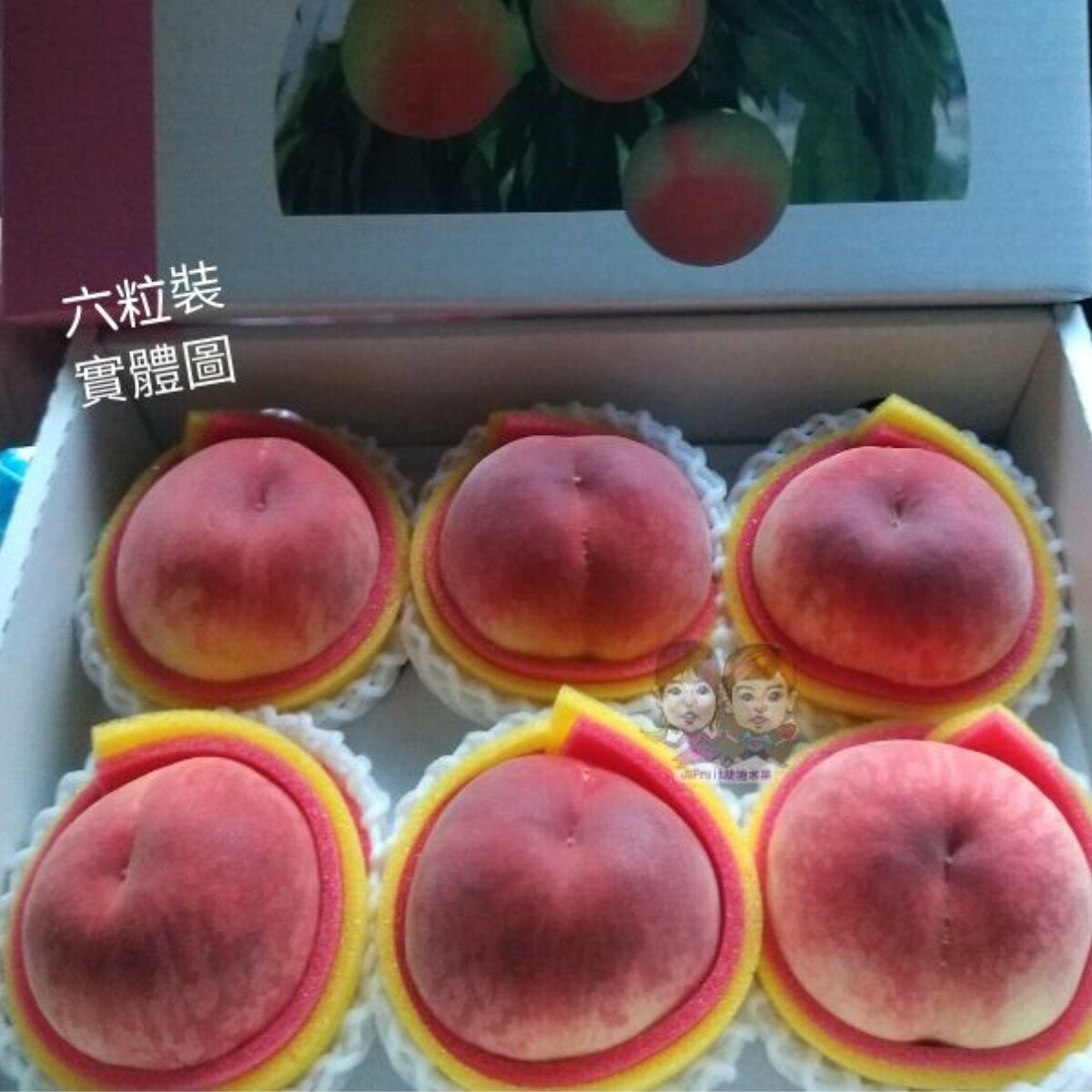 【緁迪水果JDFruit 高級水果店】現貨+預購-日本和歌山縣頂級水蜜桃禮盒(約4kg/箱) 0