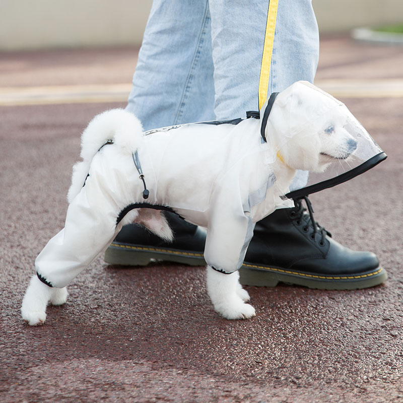 寵物雨衣 狗狗雨衣四腳防水全包中型小型犬寵物泰迪比熊博美雪納瑞雨披衣服【HZ62502】