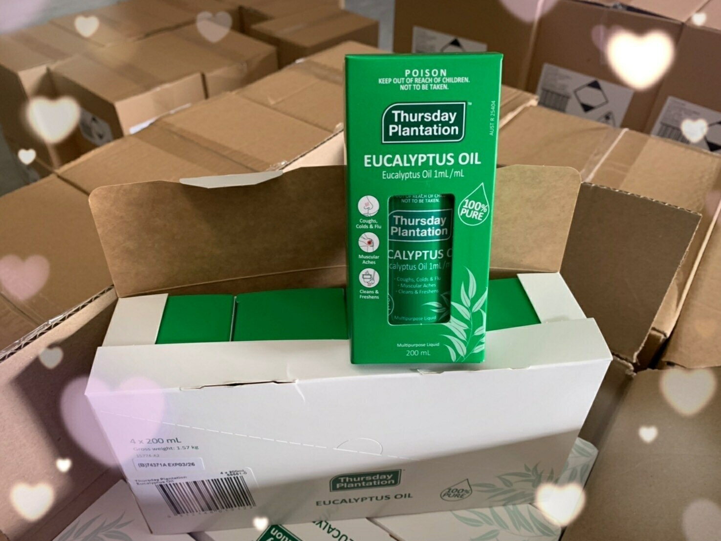 澳洲Thursday Plantation 星期四農莊 尤加利精油(100ml)(200ml)(有中標) KB22Y-0822-094 2