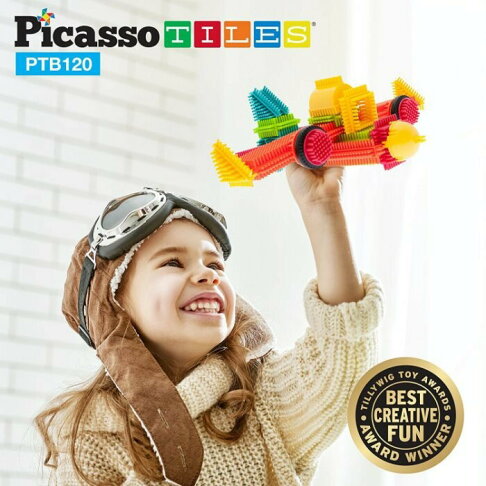 PicassoTiles PTB120 畢卡索百變刷毛觸感積木 玩具 強強滾 0