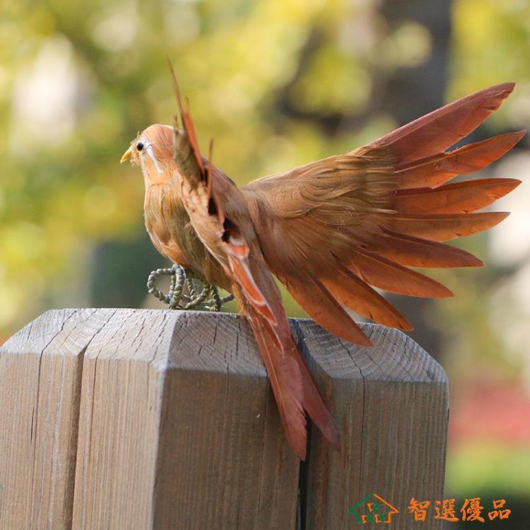 模擬鳥 模擬羽毛畫眉百靈鳥金絲雀裝飾擺件教學道具小鳥動物模型原創工藝 快速出貨
