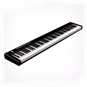 大歌星力度電鋼琴88鍵MIDI鍵盤專業成人初學入門便攜電鋼琴61【林之舍】