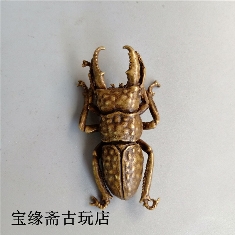 純銅甲殼蟲擺 銅金牛日式茶寵昆蟲 仿真蟲子長角銅蟲子銅雕件擺件