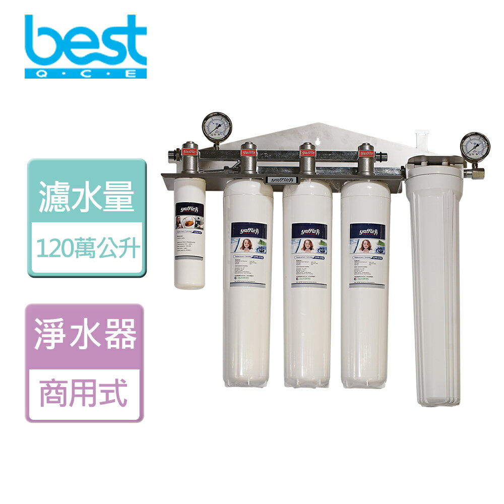 【BEST 貝斯特】商用型三進三出大流量生飲淨水器-無安裝服務 (WF-5300)