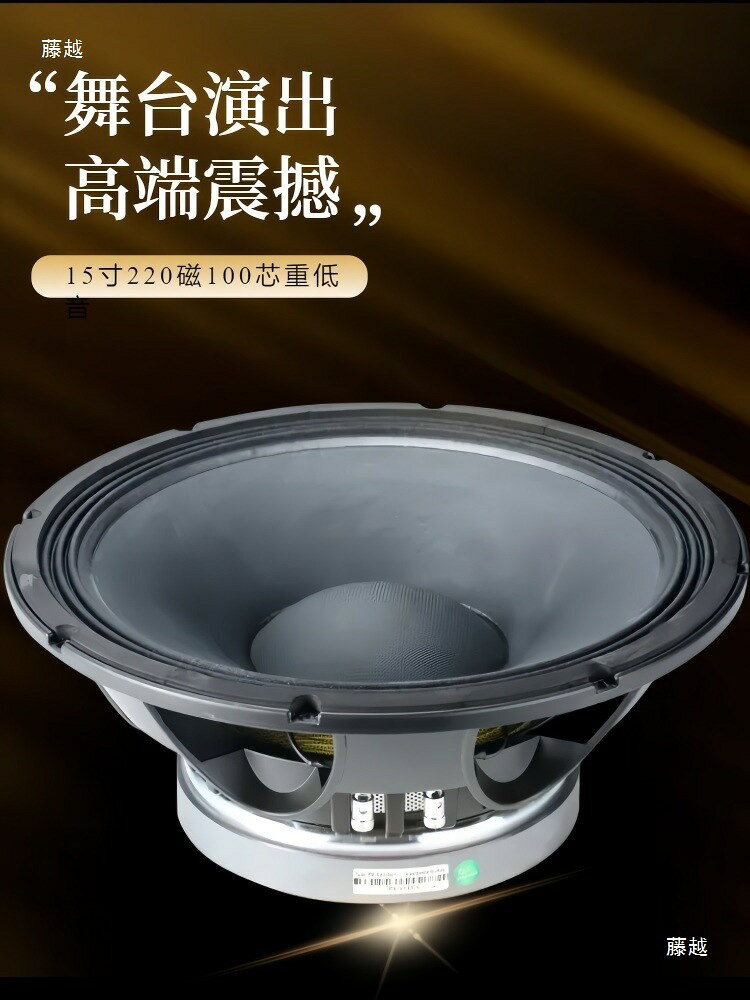 15寸220磁100芯1000瓦大功率戶外演出全頻音箱重低音喇叭【北歐居家生活】
