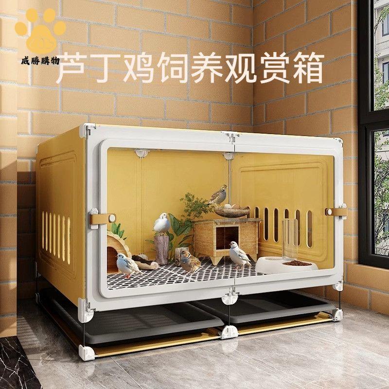 免運開發票 雞籠 養殖籠 兔籠 蘆丁雞飼養箱寵物專用籠家用室內大號方便清理小雞柯爾鴨龍貓刺猬 八折下殺ly14