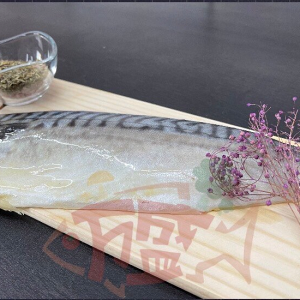 挪威頂級鯖魚片(140g/180g/250g)，全館滿1999免運費哦！