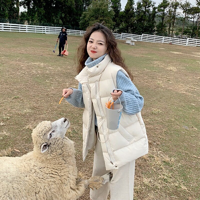 【巴黎精品】羽絨背心白鴨絨夾克-保暖禦寒立領寬鬆百搭馬甲女外套3色p1ah30