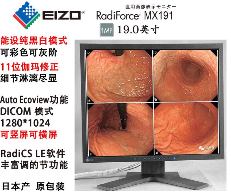 醫用顯示器CR/CT/DR/MR醫療EIZO藝卓RX240/RX220/211/MX191/193 | 樂購