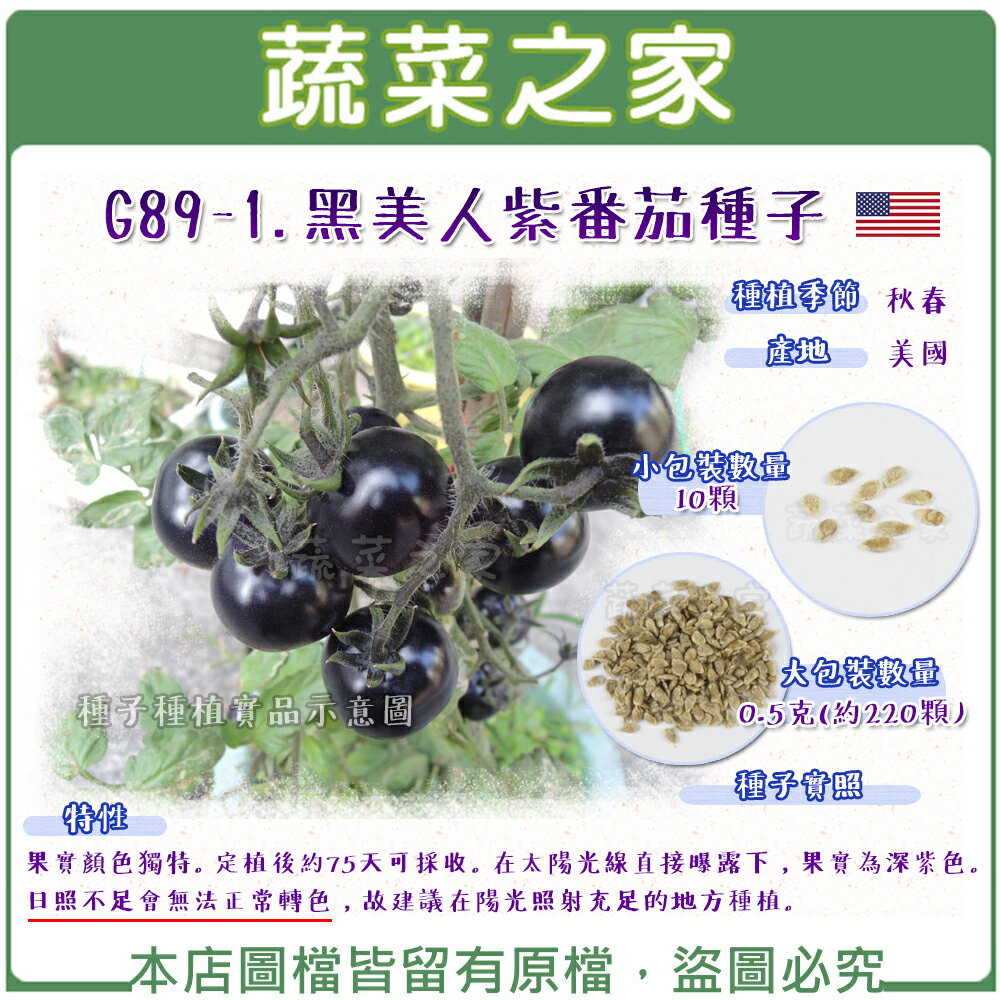 【蔬菜之家】G89-1.黑美人紫番茄種子(共兩種包裝可選)