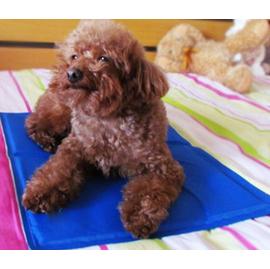 寵物冰墊 寵物墊 寵物散熱墊 清涼墊 多功能涼墊(M號約40*30cm)