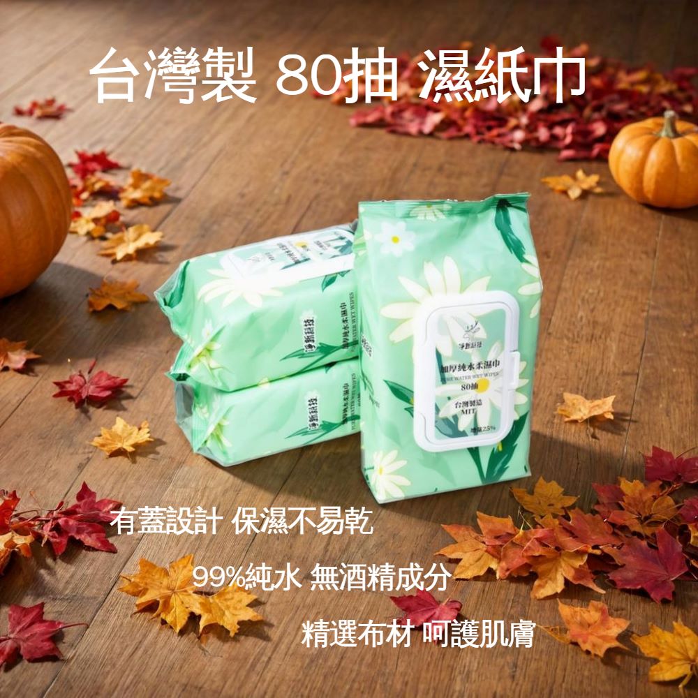 濕紙巾 抽取式濕紙巾 台灣製濕紙巾