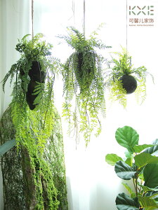 森系室內空中垂吊樹根蕨類草仿真綠植物吊飾家居裝飾創意花藝設計